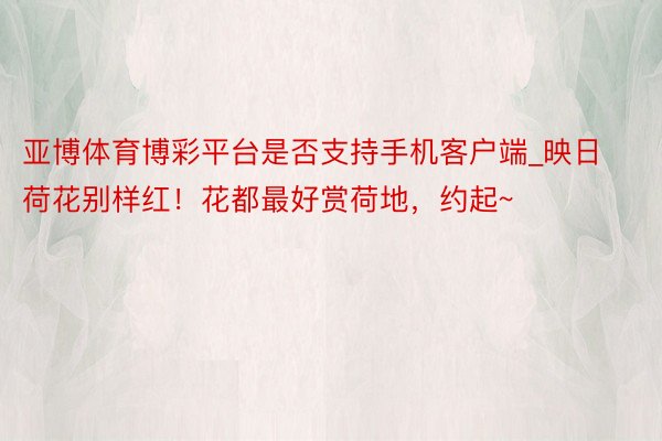 亚博体育博彩平台是否支持手机客户端_映日荷花别样红！花都最好赏荷地，约起~